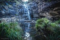 Heytesbury House Region Great Ocean Road Otways Sheoak falls