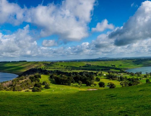 12 Amazing Natural Attractions To Visit Near The Great Ocean Road in Victoria